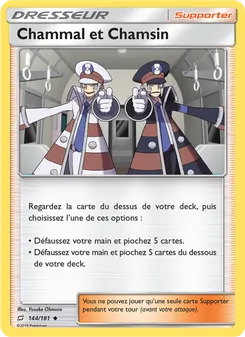 Carte Pokémon Chammal et Chamsin 144