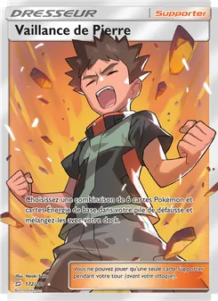 Carte Pokémon Vaillance de Pierre 172