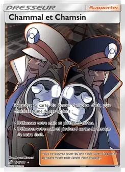 Carte Pokémon Chammal et Chamsin 176