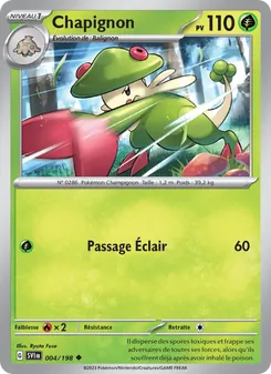 Carte Pokémon Chapignon 004