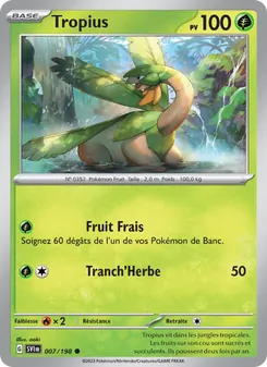 Carte Pokémon Tropius 007