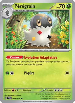 Carte Pokémon Pérégrain 009