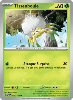 Carte Pokémon Tissenboule 018
