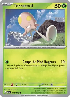 Carte Pokémon Terracool 024