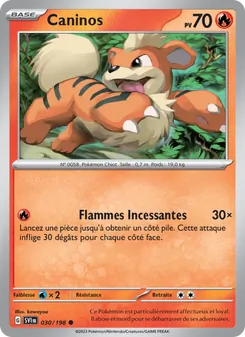 Carte Pokémon Caninos 030