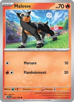 Carte Pokémon Malosse 033