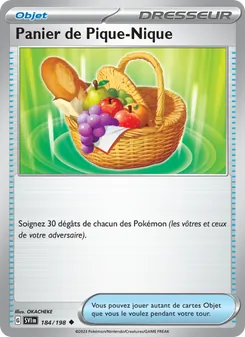 Carte Pokémon Panier de Pique-Nique 184
