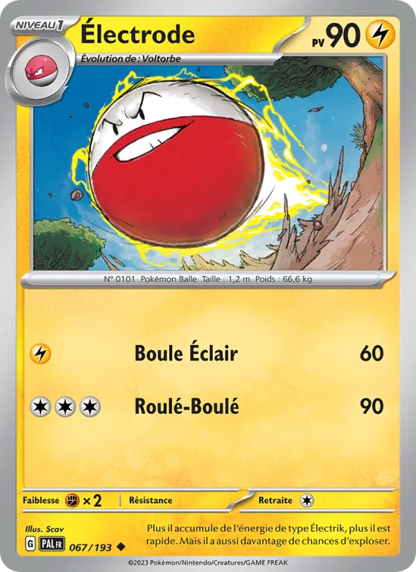 Carte Pokémon Électrode 067/193 de l'extension Évolutions à Paldea
