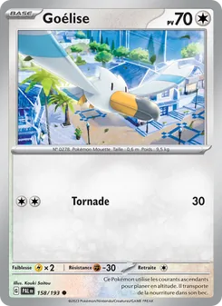 Carte Pokémon Goélise 158