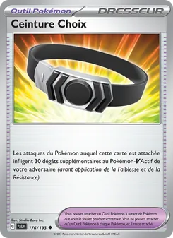Carte Pokémon Ceinture Choix 176