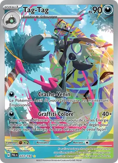 Carte Pokémon Tag-Tag 223