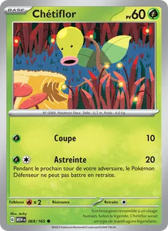Carte Pokémon Chétiflor 069