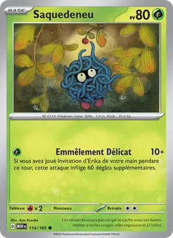 Carte Pokémon Saquedeneu 114