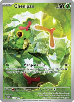 Carte Pokémon Chenipan 172