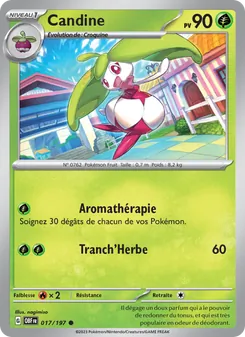 Carte Pokémon Candine 017