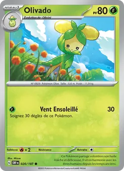 Carte Pokémon Olivado 020
