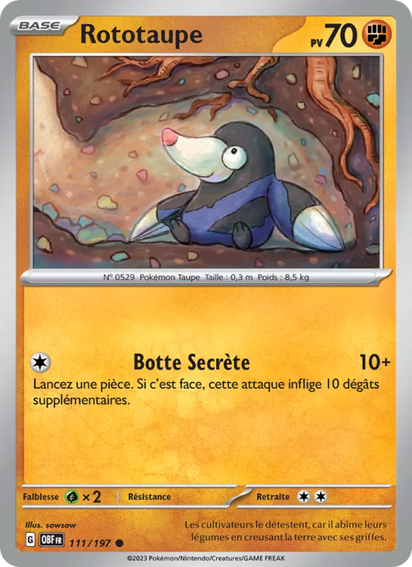 Carte Pokémon Rototaupe 111/197 de l'extension Flammes Obsidiennes