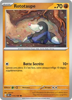 Carte Pokémon Rototaupe 111