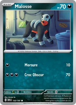Carte Pokémon Malosse 132