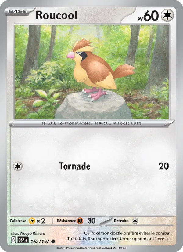 Carte Pokémon Roucool 162/197 de l'extension Flammes Obsidiennes