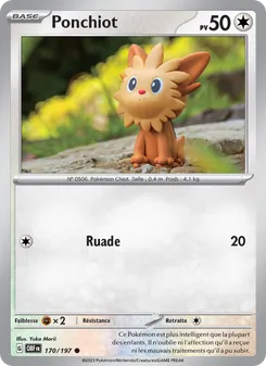 Carte Pokémon Ponchiot 170