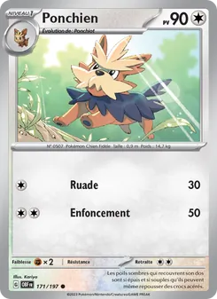 Carte Pokémon Ponchien 171