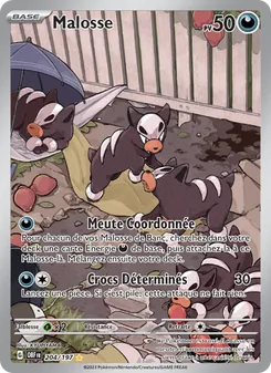 Carte Pokémon Malosse 204