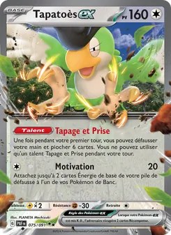 Carte Pokémon Tapatoès-ex 075