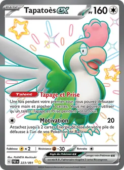 Carte Pokémon Tapatoès-ex 223