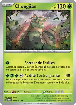 Carte Pokémon Chongjian 018