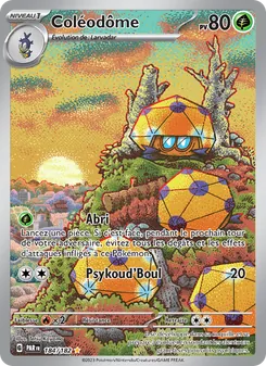 Carte Pokémon Coléodôme 184