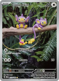 Carte Pokémon Capumain 211
