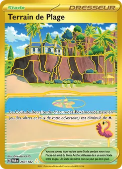 Carte Pokémon Terrain de Plage 263
