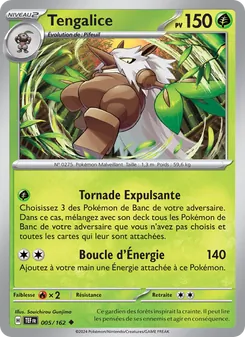Carte Pokémon Tengalice 005