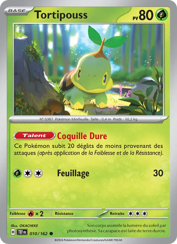 Carte Pokémon Tortipouss 010/162 de l'extension Forces Temporelles