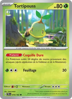 Carte Pokémon Tortipouss 010
