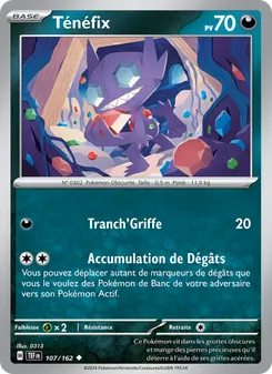 Carte Pokémon Ténéfix 107