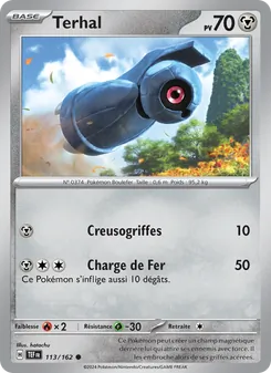 Carte Pokémon Terhal 113
