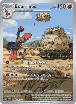 Carte Pokémon Bourrinos 175