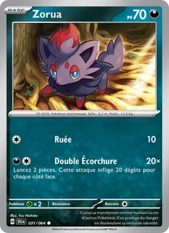 Carte Pokémon Zorua 031