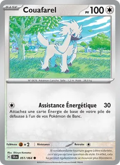 Carte Pokémon Couafarel 051