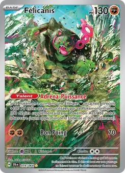 Carte Pokémon Félicanis 074