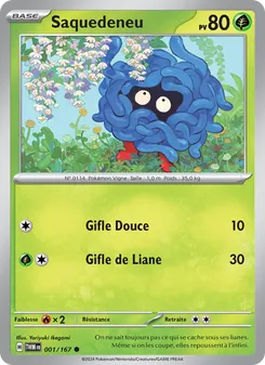 Carte Pokémon Saquedeneu 001