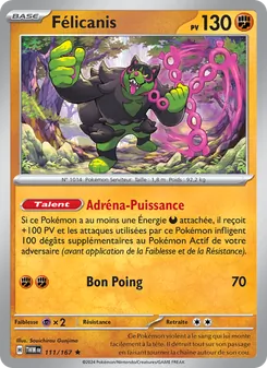 Carte Pokémon Félicanis 111
