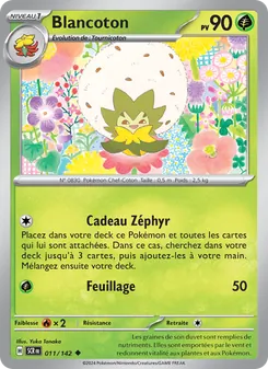 Carte Pokémon Blancoton 011