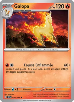 Carte Pokémon Galopa 020