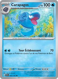 Carte Pokémon Carapagos 037 — Couronne Stellaire