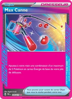 Carte Pokémon Max Canne 116