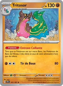 Carte Pokémon Tritosor 107