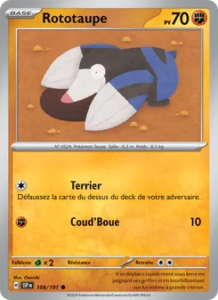 Carte Pokémon Rototaupe 108